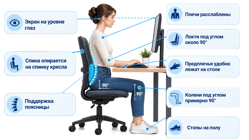 Эргономика рабочего места Эргономика рабочего места